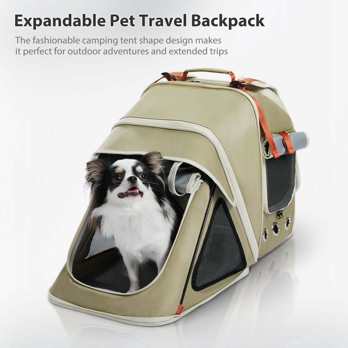 Expandable Pet Travel Backpack with Detachable Pouch – Green — detail 3