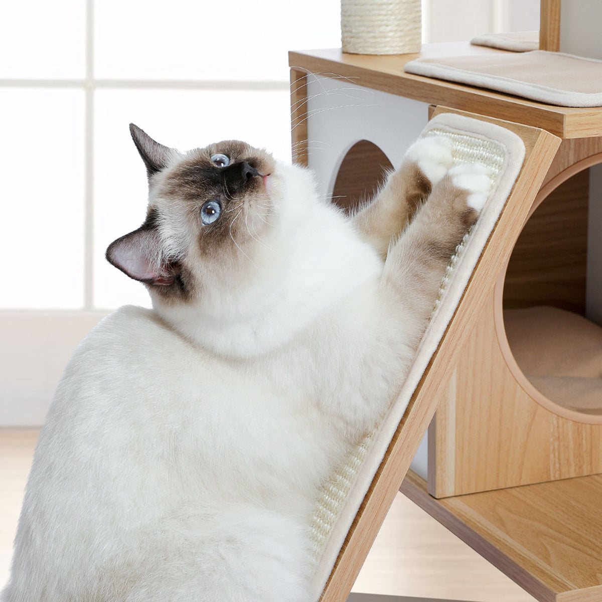 Wood Cat Tree with Dual Condos and Scratching Ramp – Beige — detail 3