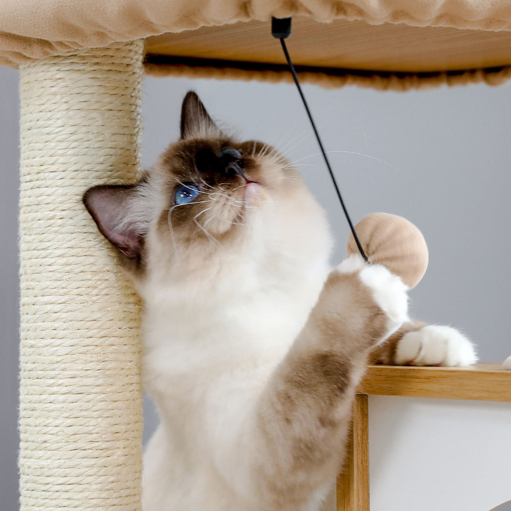 Wood Cat Tree with Dual Condos and Scratching Ramp – Beige — detail 4