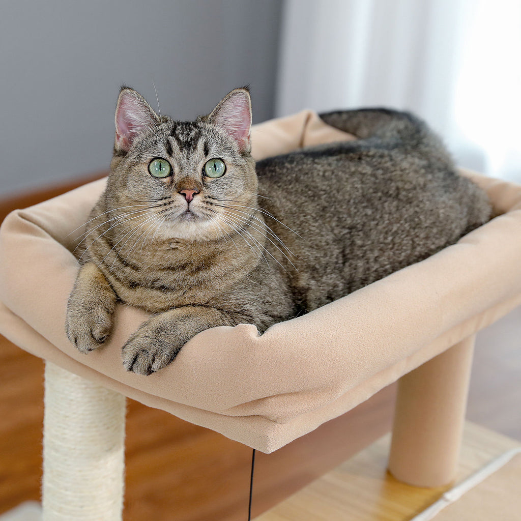 Wood Cat Tree with Dual Condos and Scratching Ramp – Beige — detail 5