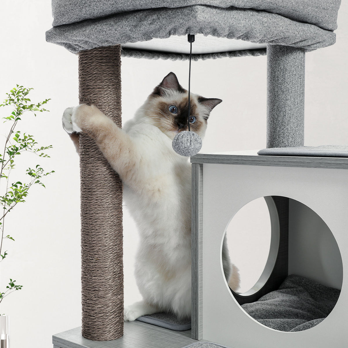 Wood Cat Tree with Dual Condos and Scratching Ramp – Grey — detail 4