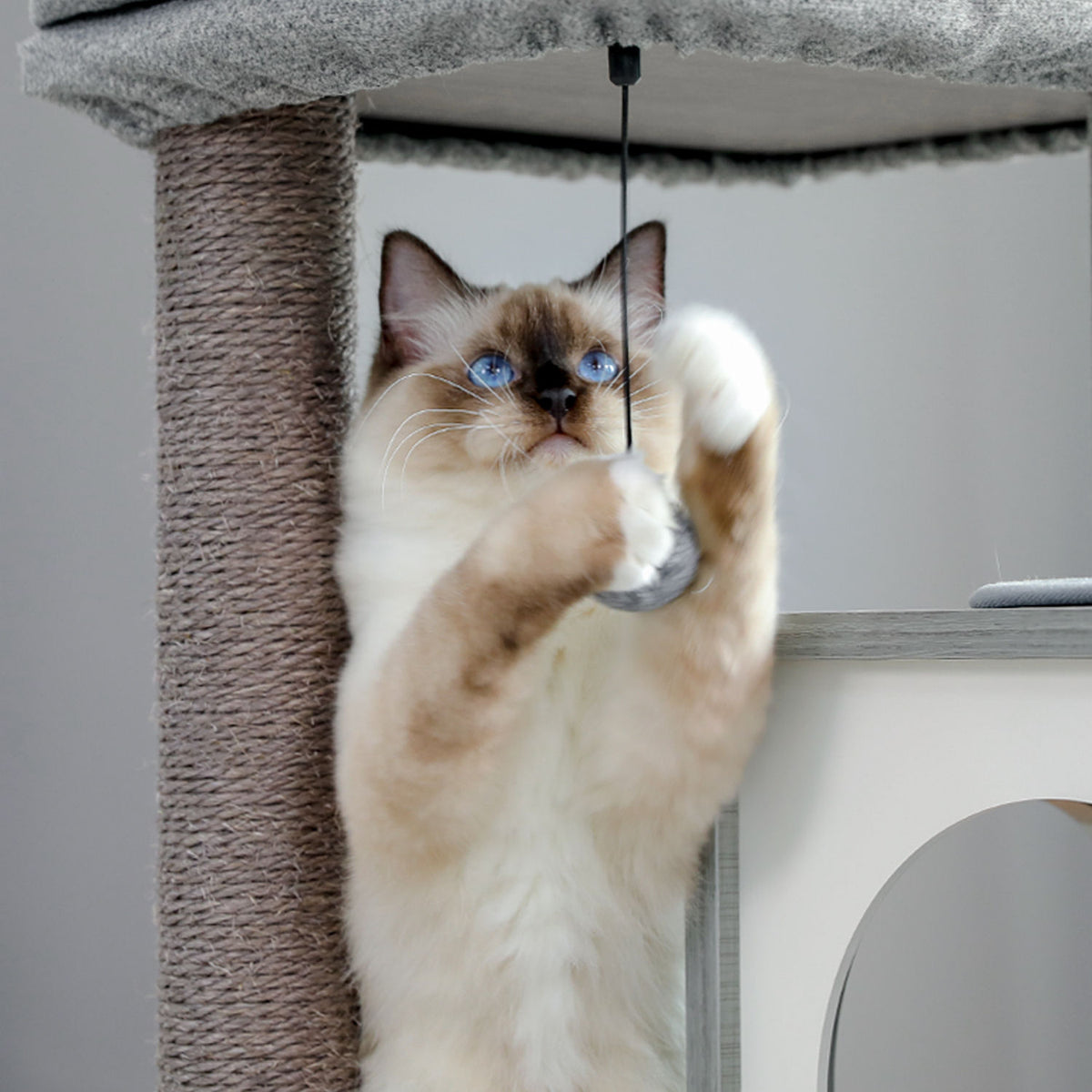 Wood Cat Tree with Dual Condos and Scratching Ramp – Grey — detail 6