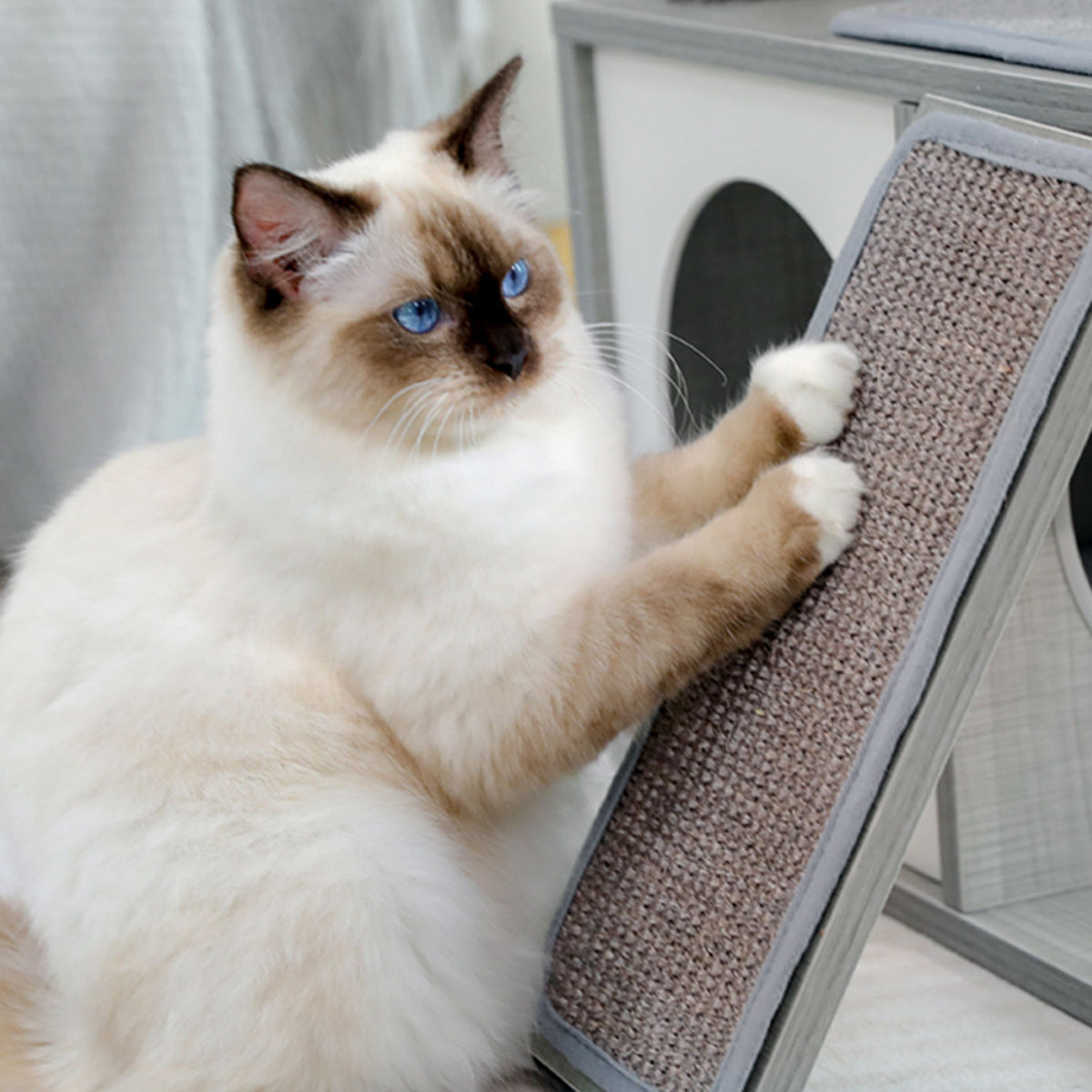 Wood Cat Tree with Dual Condos and Scratching Ramp – Grey — detail 7