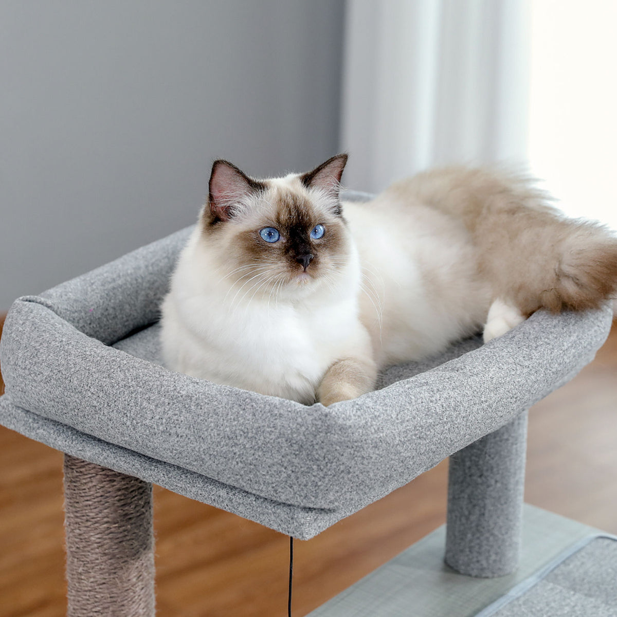 Wood Cat Tree with Dual Condos and Scratching Ramp – Grey — detail 8