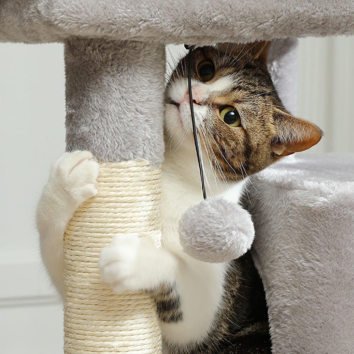Compact Cat Tree with Dual Condos – Grey — detail 6