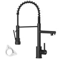 DAYONE Matte Black Dual Spout Spring Kitchen Mixer Tap — product view